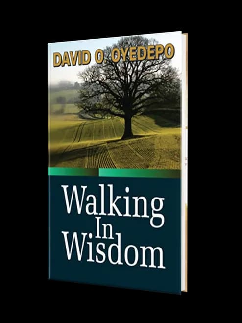 Cover of Walking In Wisdom